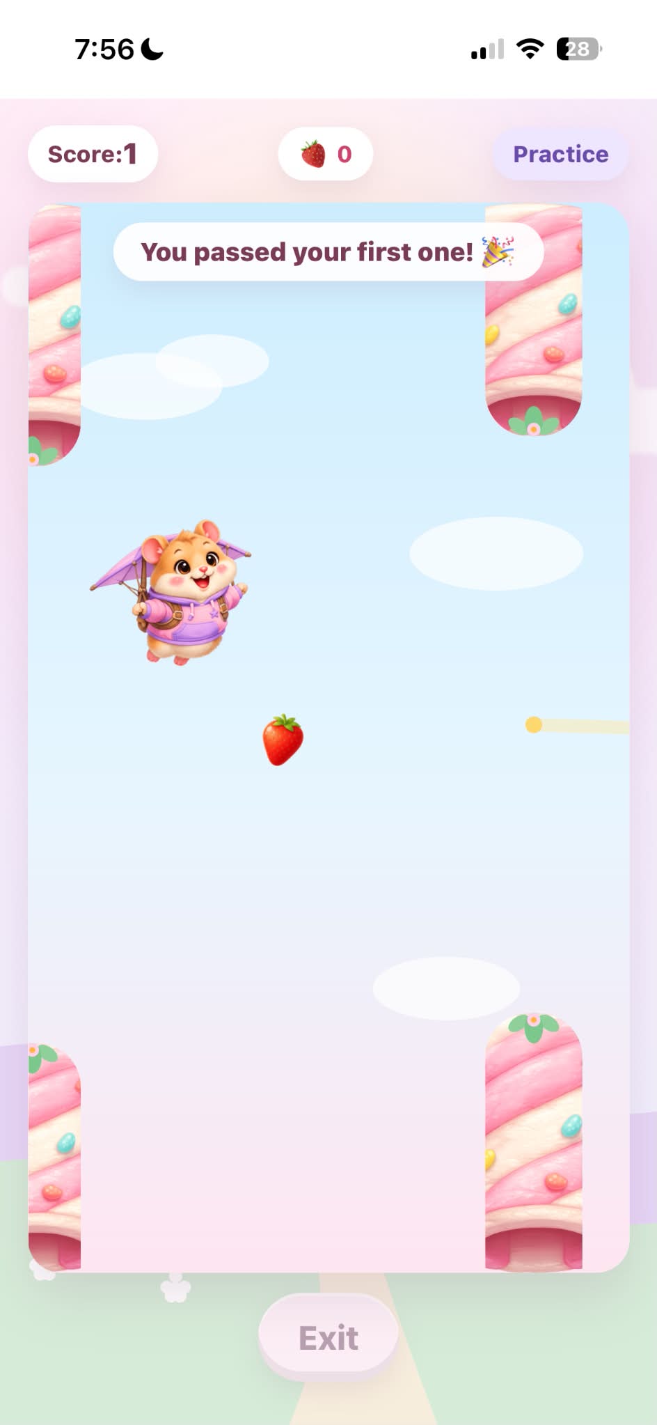 Sky Hop mini-game with a hamster gliding past obstacles, a score counter, and a You passed your first one celebration message